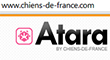 Notre site web en Français